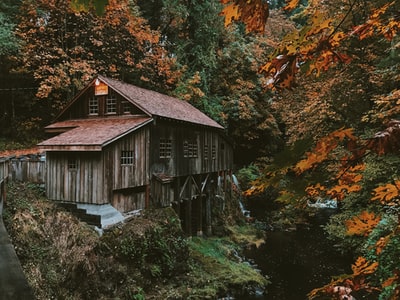 Brown wooden homes and orange trees
